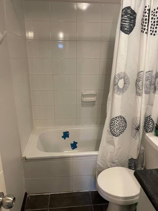 Apartamento Disfruta De Un Buen Descanso La Serena